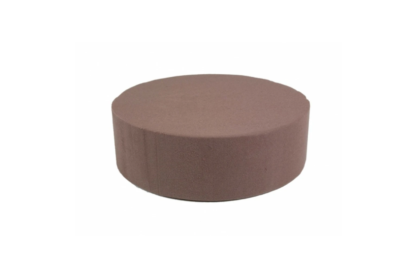 BIO TAART ROND 1ST (22X7CM) (CAKE DUMMY)