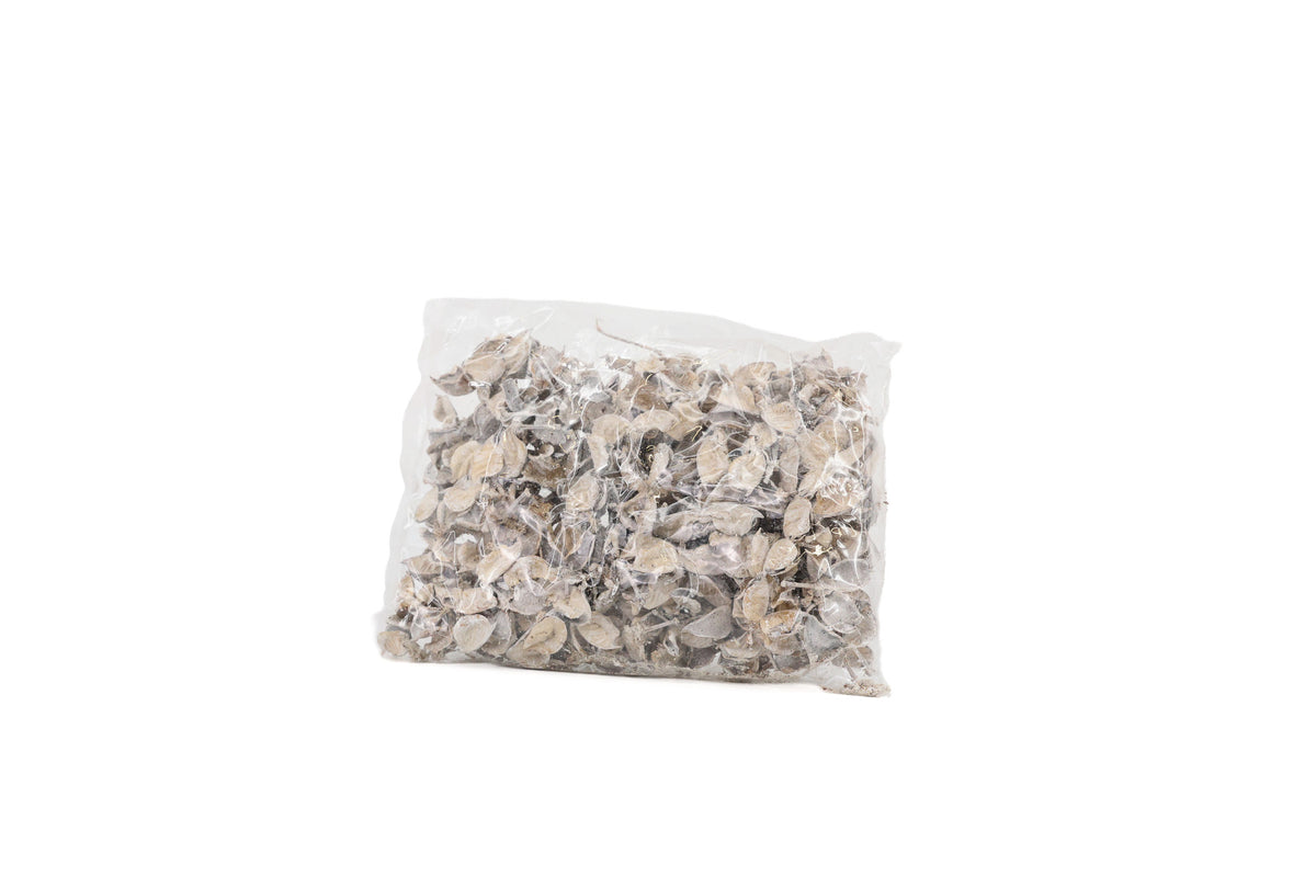 COTTON PODS WHITE WASH +/-250GR