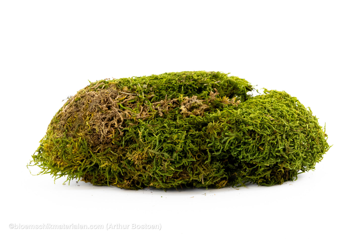 GECONSERVEERD MOS GROEN +/-500GR - 1STE KEUS