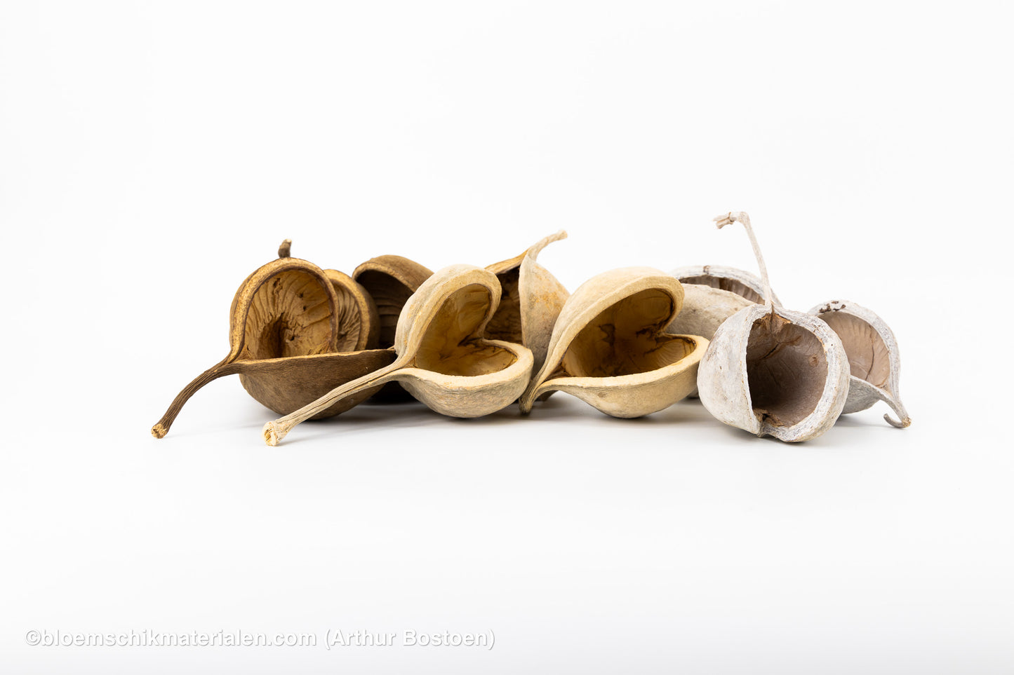 BOEDDHA NOTEN NATUREL (3 stuks)