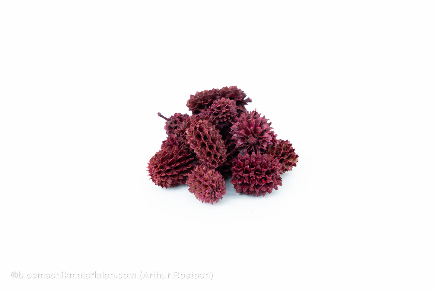 CASURINA ROOD (75GR)