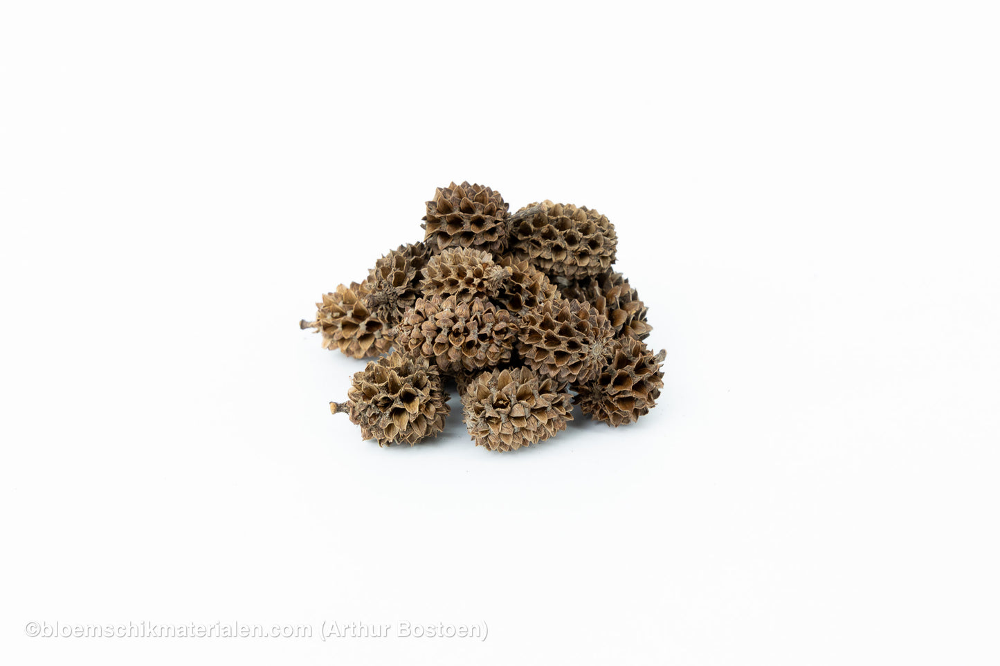 CASURINA NATUREL (75GR)