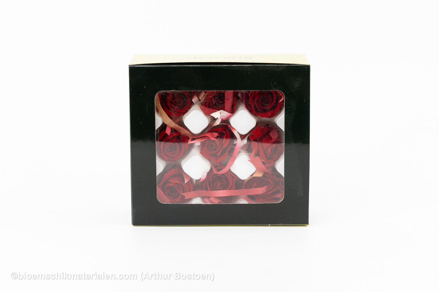 GECONSERVEERDE ROOS (KITTY) +/-3.5CM BORDEAUX 9ST