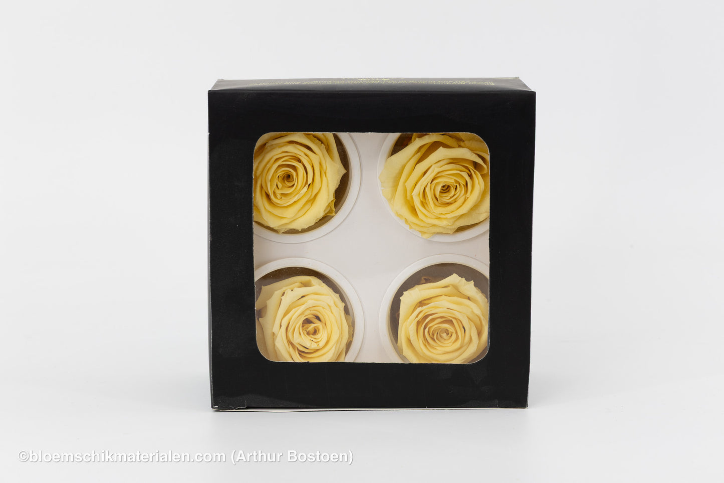GECONSERVEERDE ROOS (LARGE OPEN) +/-6.5CM ECRU 4ST