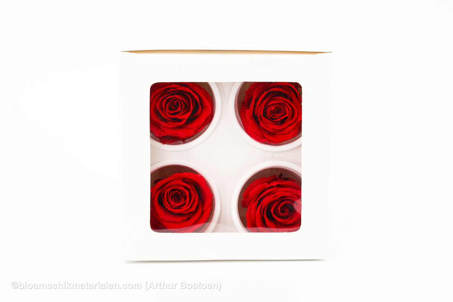 GECONSERVEERDE ROOS (LARGE OPEN) +/-8.5CM ROOD 4ST