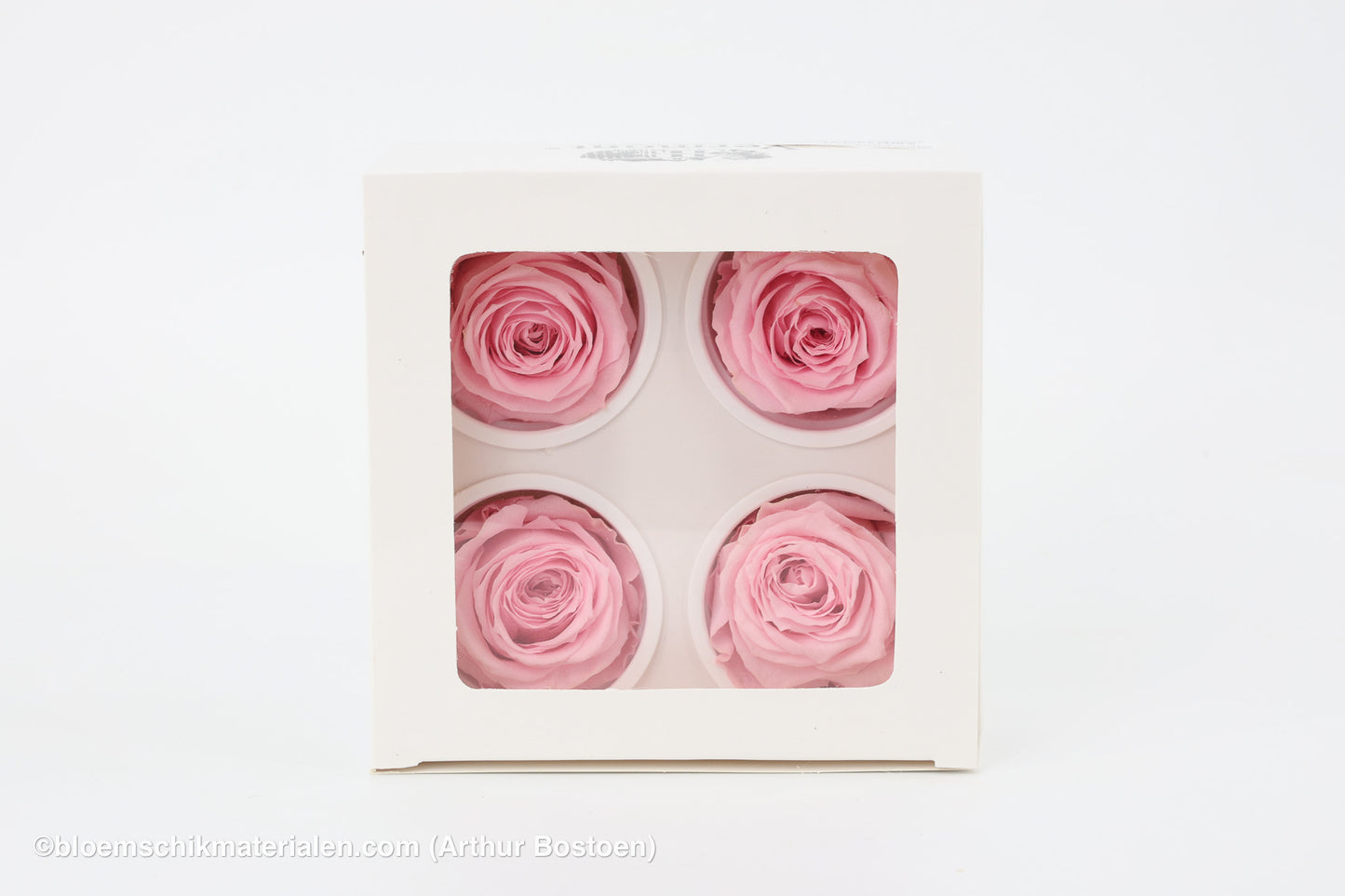 GECONSERVEERDE ROOS (LARGE OPEN) +/-8.5CM ROOS 4ST
