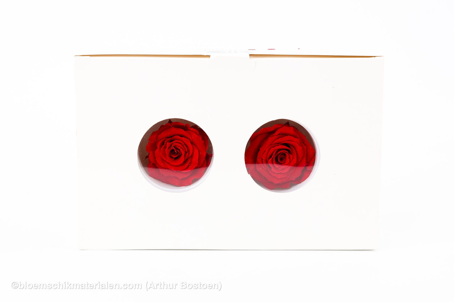GECONSERVEERDE ROOS (MEDIUM OPEN) +/- 4.5CM ROOD 8ST