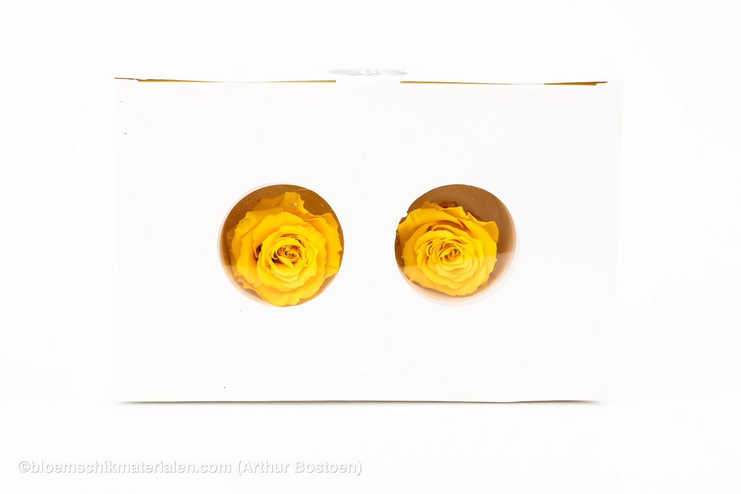 GECONSERVEERDE ROOS (MEDIUM OPEN) +/- 4.5CM GEEL 8ST
