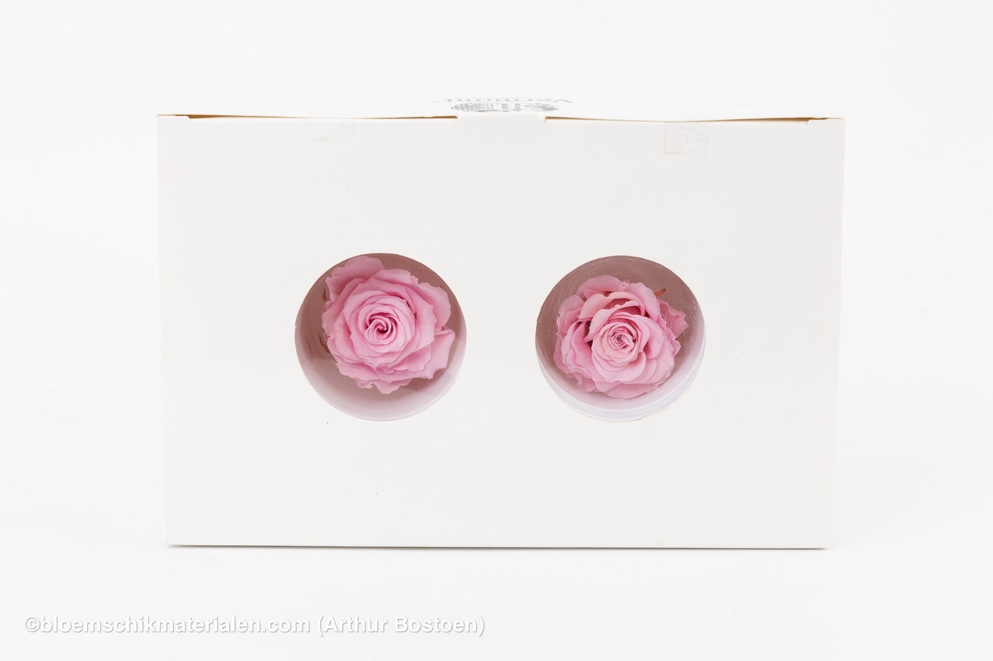 GECONSERVEERDE ROOS (MEDIUM OPEN) +/- 4.5CM ROZE 8ST