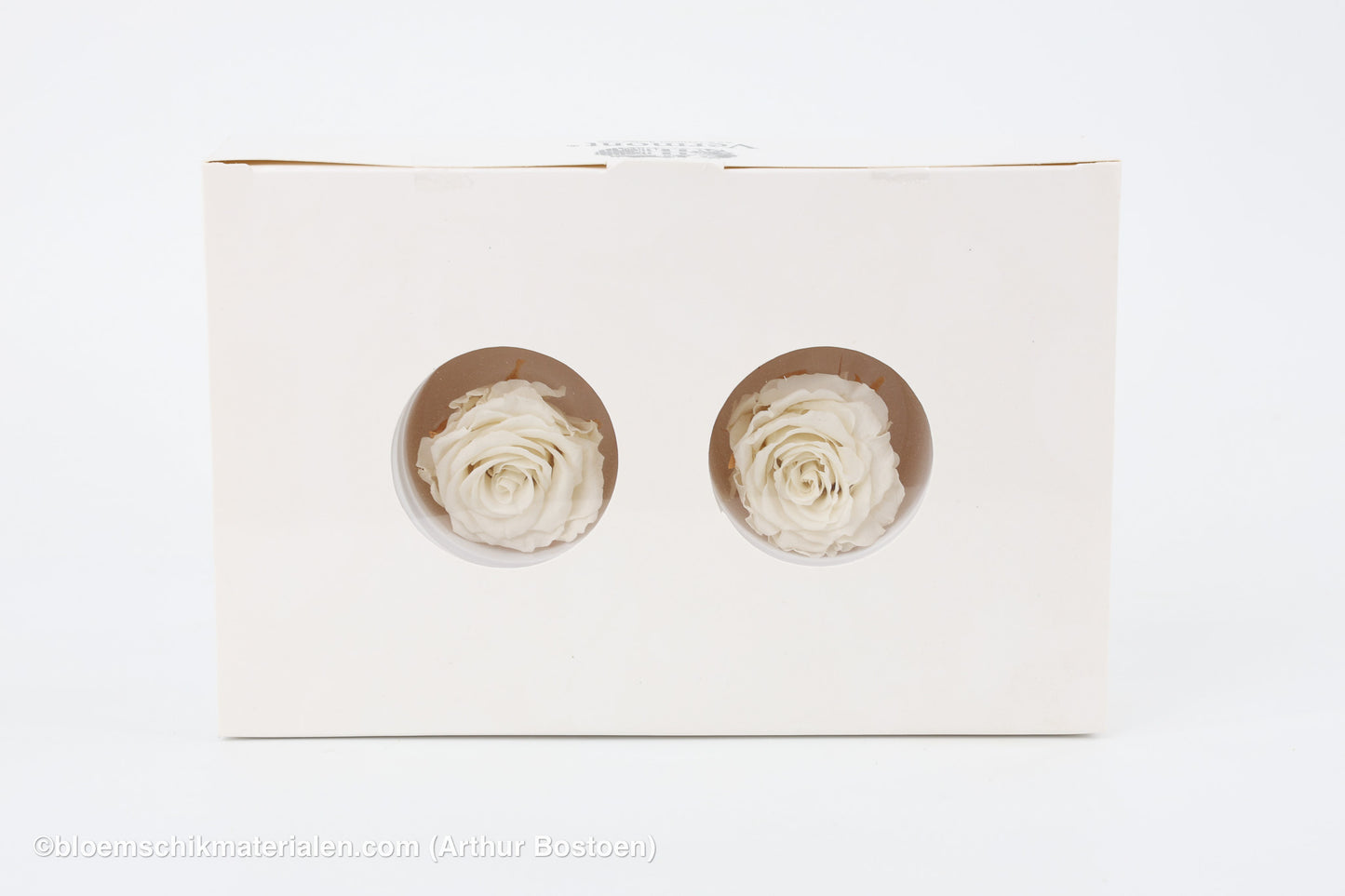 GECONSERVEERDE ROOS (MEDIUM OPEN) +/- 4.5CM WIT 8ST