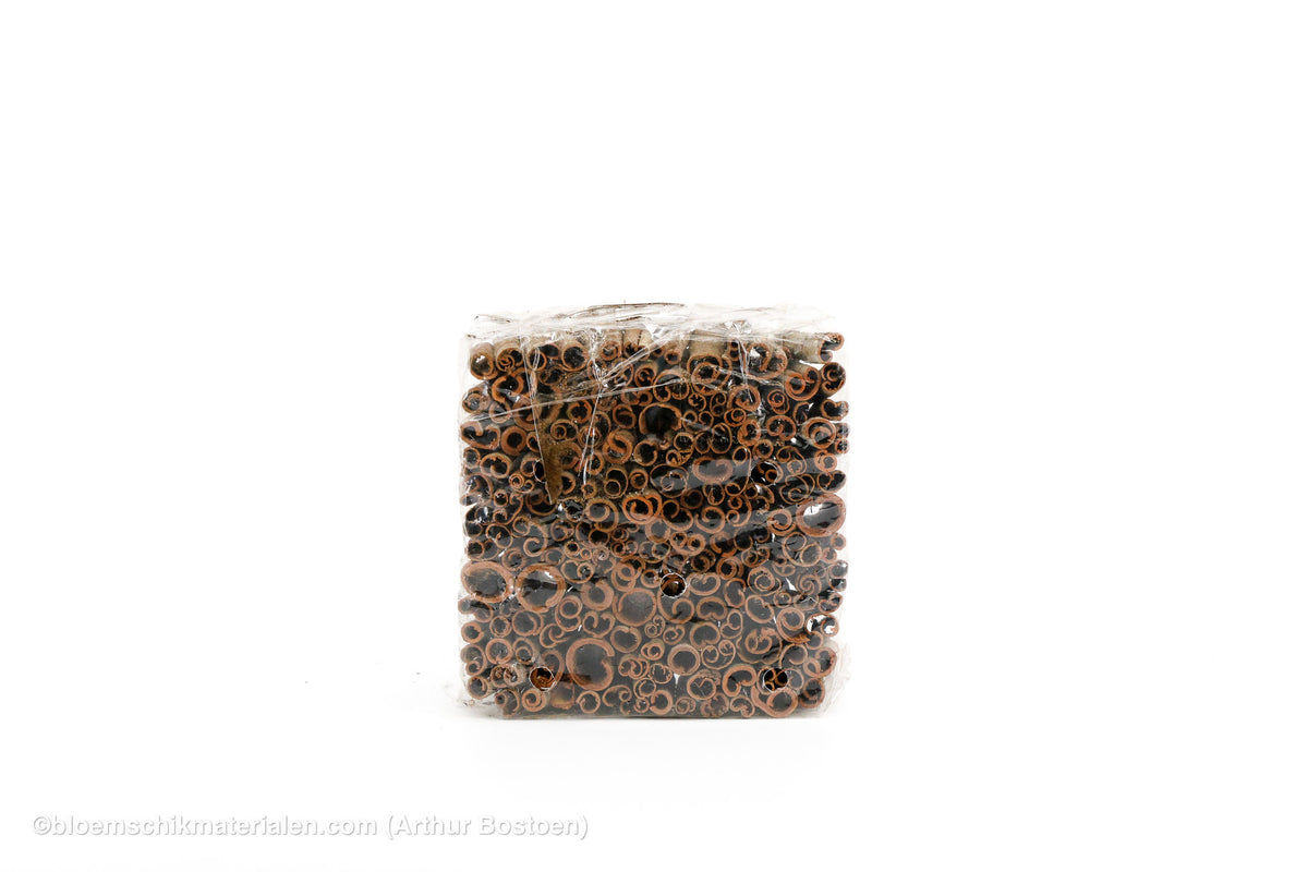 KANEEL WILD 8CM 1KG