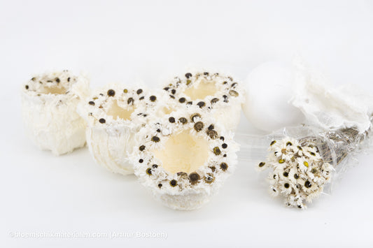 Kwartet Cocons van Moerbeischors (± 15 cm Ø)