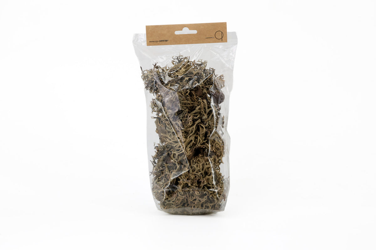 LITCHEN MOS +/-50GR