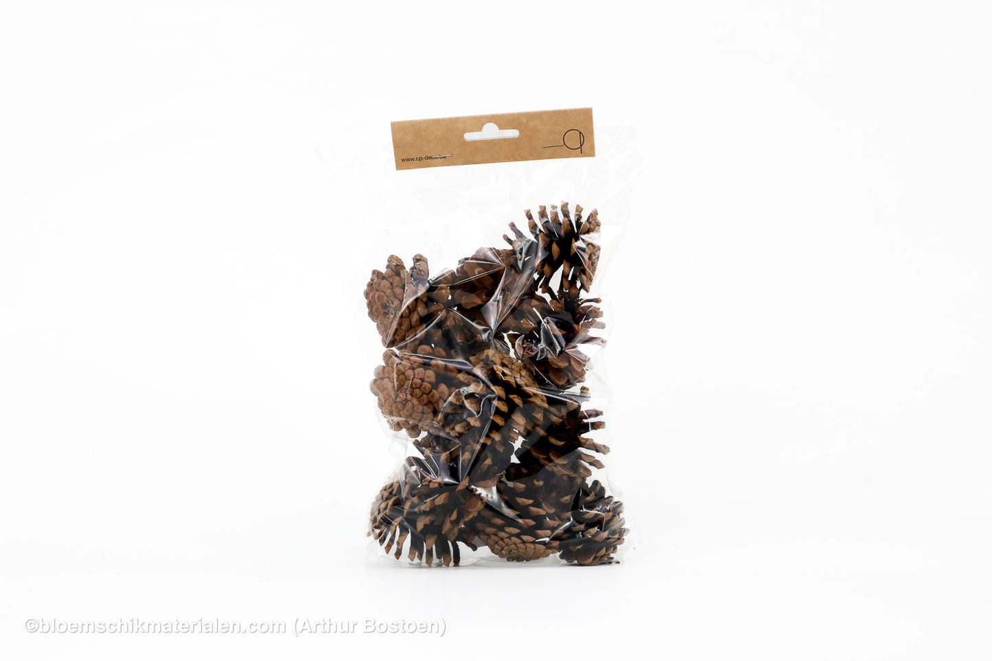OOSTENRIJKER KOPPEN (PINUS NIGRA) NATUREL +/-200GR