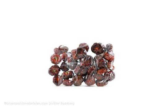 POMPOEN (SOLANUM) +/-250GR