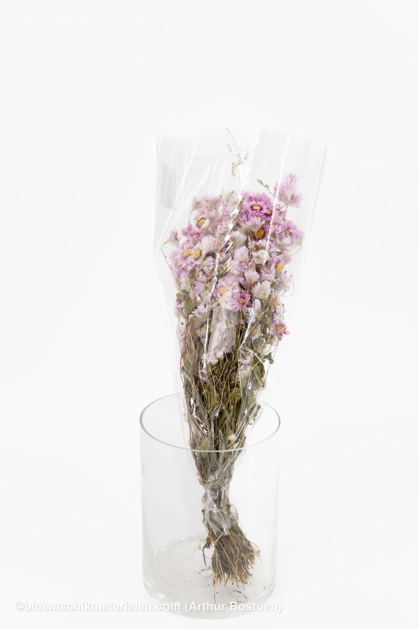RODANTHE ROZE NATUREL