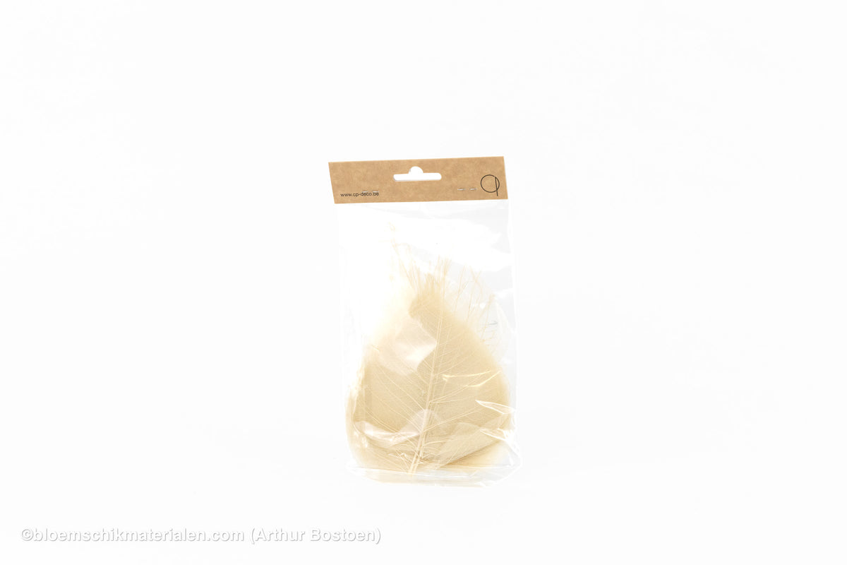 SKELETBLAD GEBLEEKT +/-25 ST.