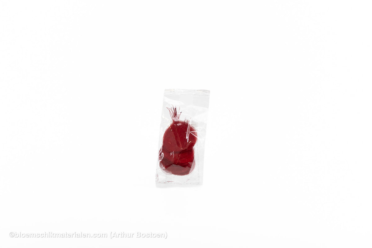 SKELETBLAD ROOD +/-100ST