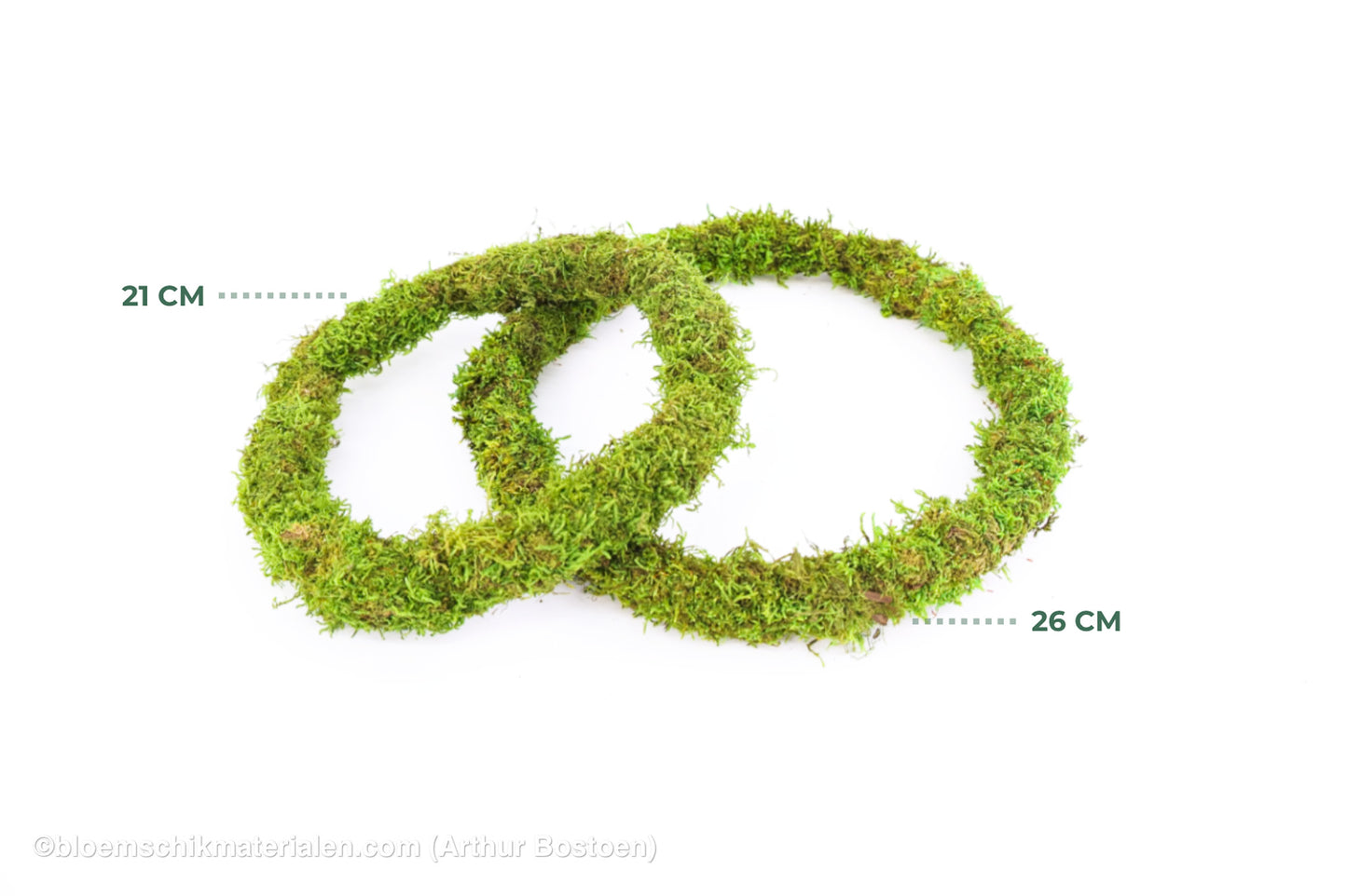 RING GROEN GECONCERVEERD MOS 21 CM