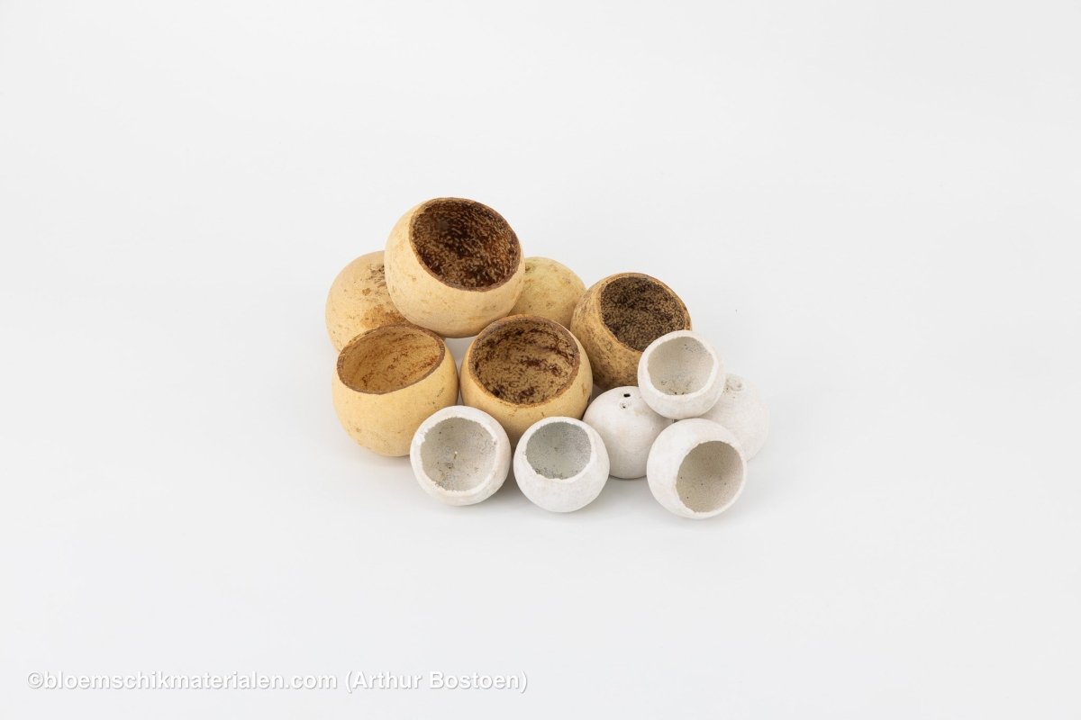 BELL CUP NATUREL (6 stuks) - bloemschikmaterialen.com