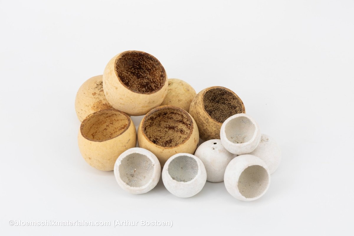 BELL CUP WHITE WASH (6 stuks) - bloemschikmaterialen.com