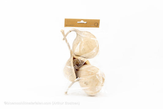 BOEDDHA NOTEN GEBLEEKT (3 stuks) - bloemschikmaterialen.com