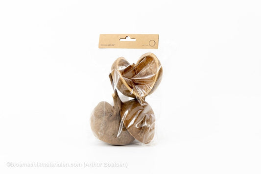 BOEDDHA NOTEN NATUREL (3 stuks) - bloemschikmaterialen.com