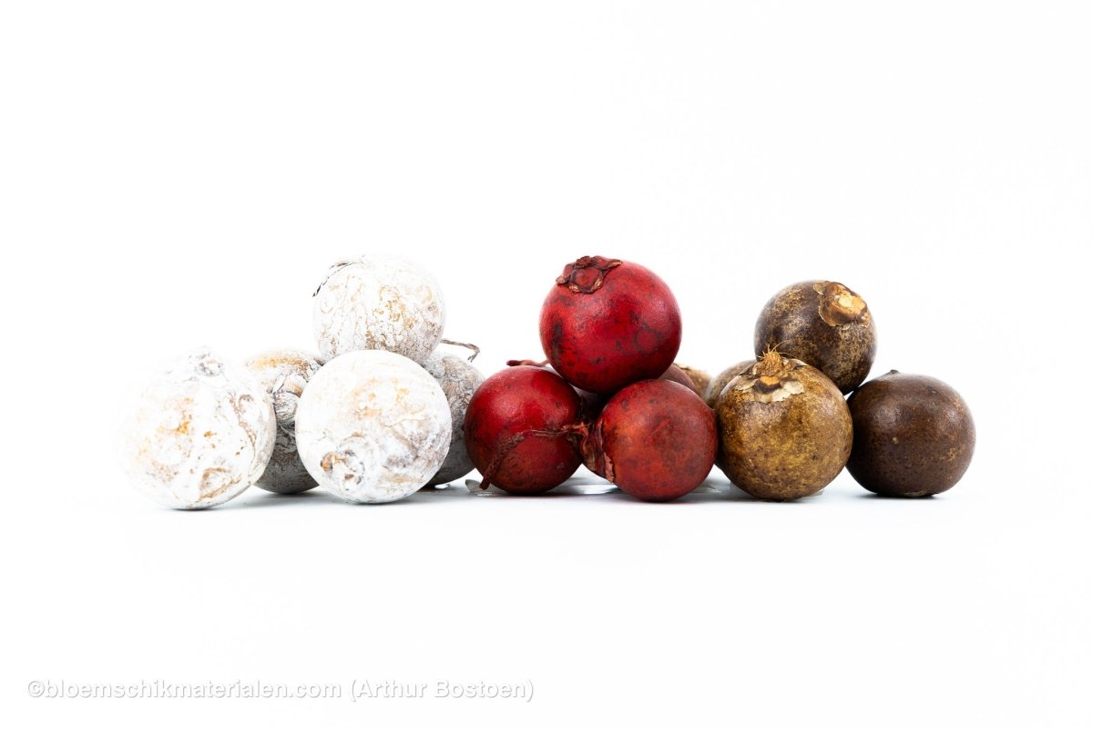 BOHLA WHITE WASH (5 stuks) - bloemschikmaterialen.com