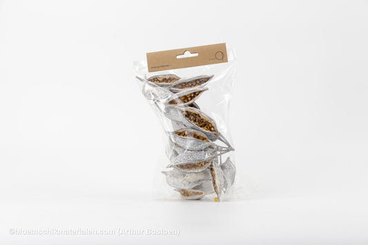 BRACHYCHITON WHITE WASH (+/ - 150GR) - bloemschikmaterialen.com