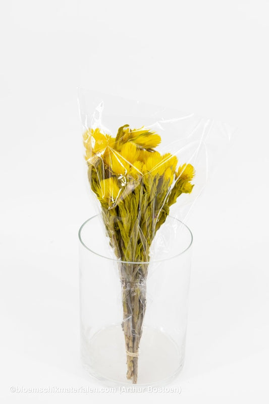 CAPBLUMEN LARGE 30CM GEEL +/ - 50GR - bloemschikmaterialen.com