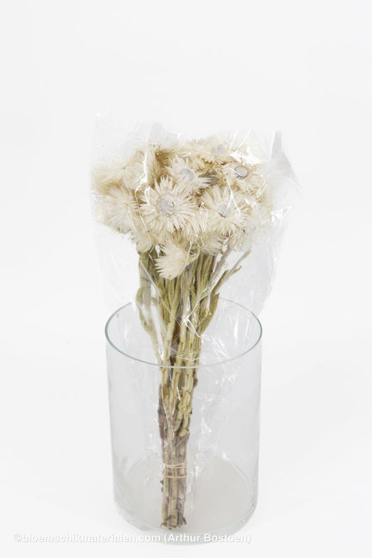 CAPBLUMEN LARGE 30CM NATUREL +/ - 50GR - bloemschikmaterialen.com