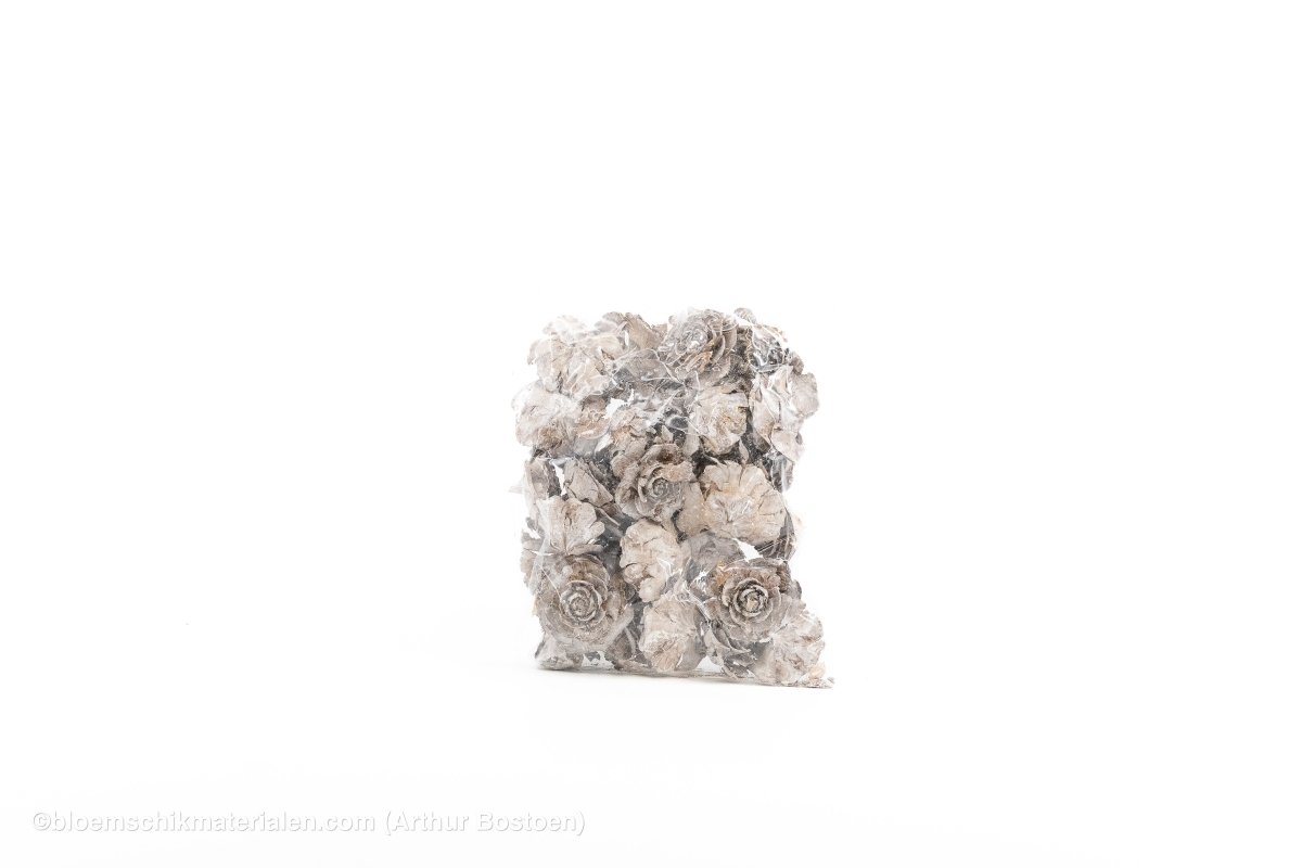 CEDER ROSE WHITE WASH 40ST - bloemschikmaterialen.com