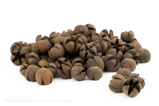 CHILONI NATUREL +/ - 1KG - bloemschikmaterialen.com
