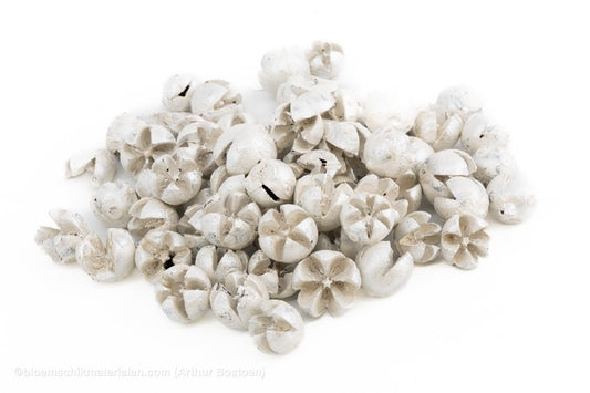 CHILONI PEARL WHITE +/ - 1KG - bloemschikmaterialen.com
