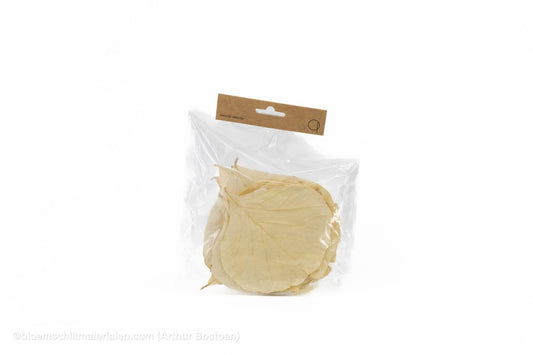 COBRA BLAD NATUREL 50ST - bloemschikmaterialen.com