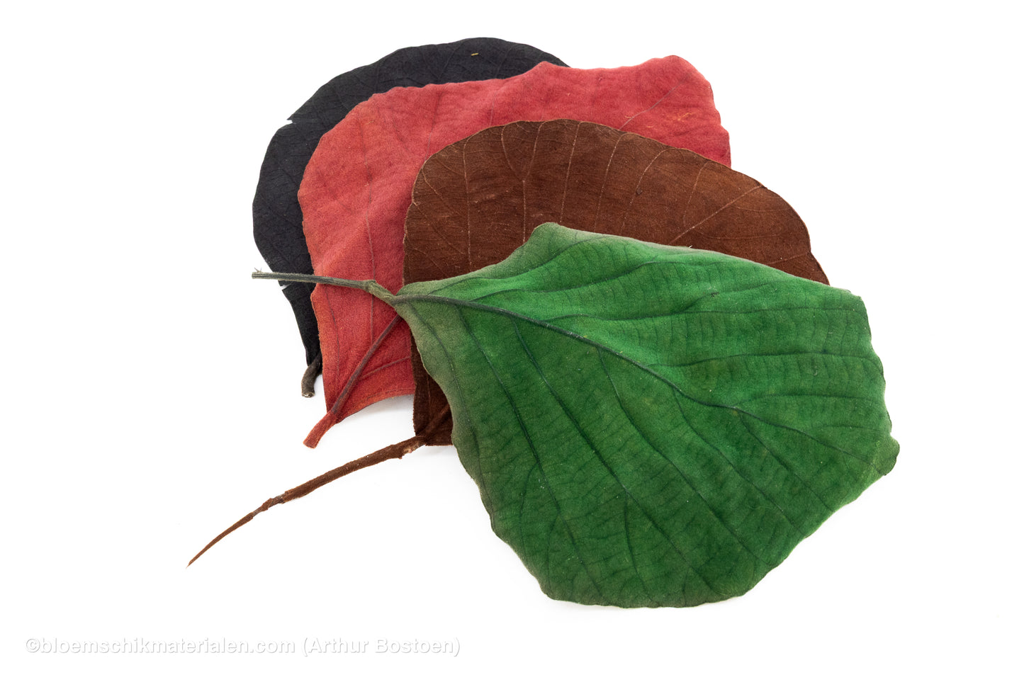 COBRA BLAD ZWART 10ST