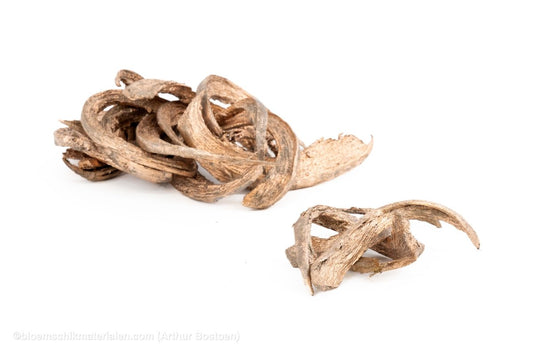 COCO CURL KOPER +/ - 500GR - bloemschikmaterialen.com