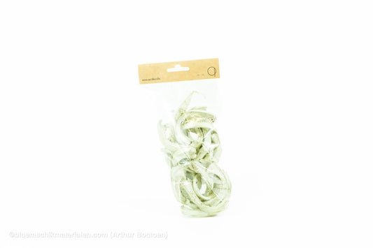 COCO CURL PEARL MINT +/ - 75GR - bloemschikmaterialen.com