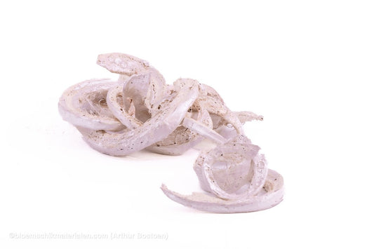 COCO CURL PEARL PINK +/ - 500GR - bloemschikmaterialen.com