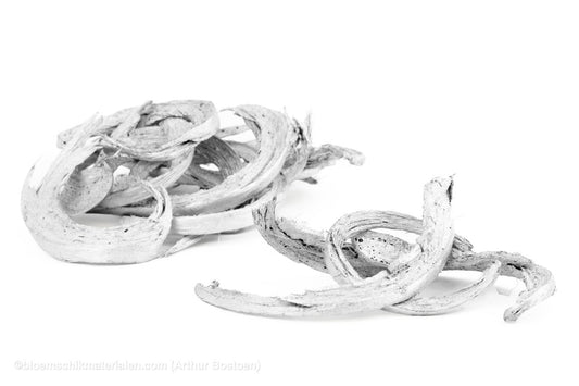 COCO CURL ZILVER +/ - 500GR - bloemschikmaterialen.com
