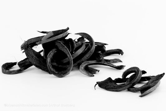 COCO CURL ZWART +/ - 500GR - bloemschikmaterialen.com