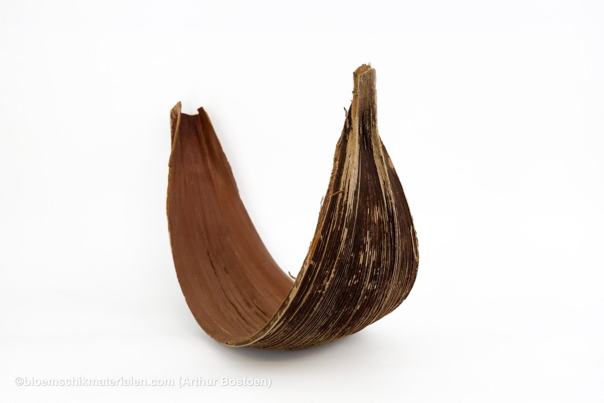 COCOS MARIBA NATUREL 1ST - bloemschikmaterialen.com