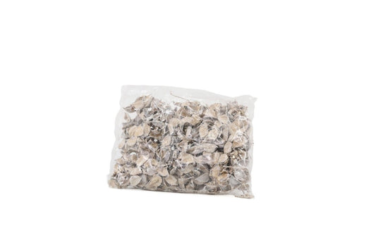 COTTON PODS WHITE WASH +/-250GR - bloemschikmaterialen.com