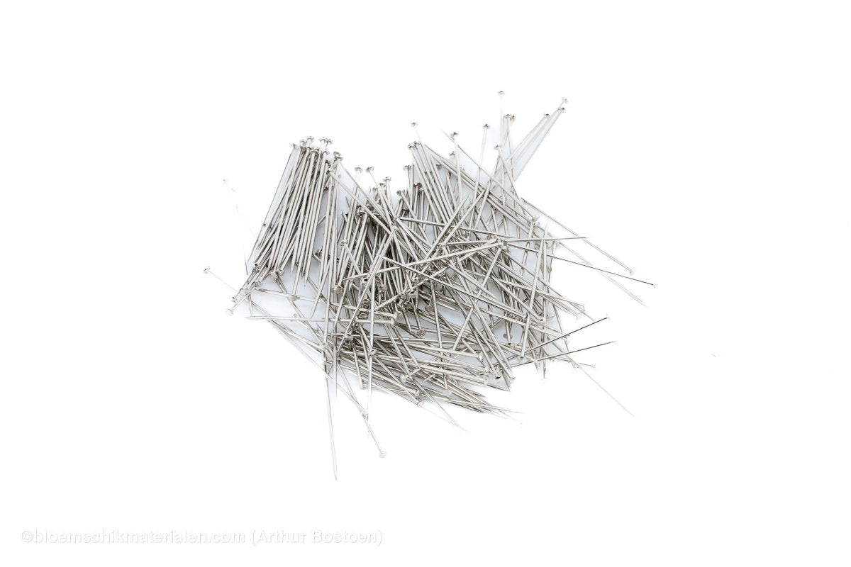 ETALAGESPELDEN 51MM VERNIKKELD +/ - 500GR - bloemschikmaterialen.com