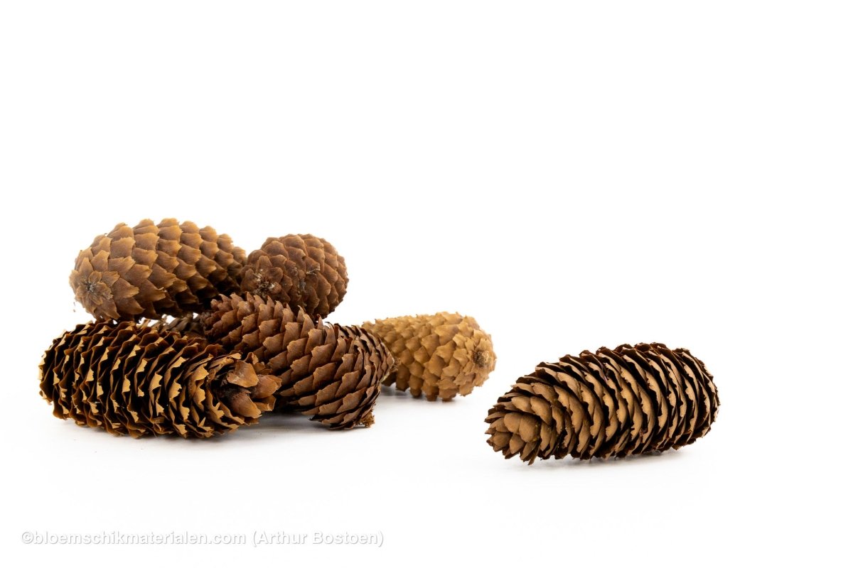 FIJNSPAR NATUREL +/ - 500 GR - bloemschikmaterialen.com