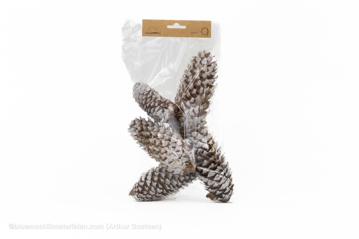 FIJNSPAR WHITE WASH +/ - 200GR - bloemschikmaterialen.com