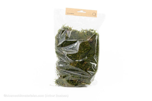 GECONSERVEERD MOS GROEN +/-75GR - 1STE KEUS - bloemschikmaterialen.com