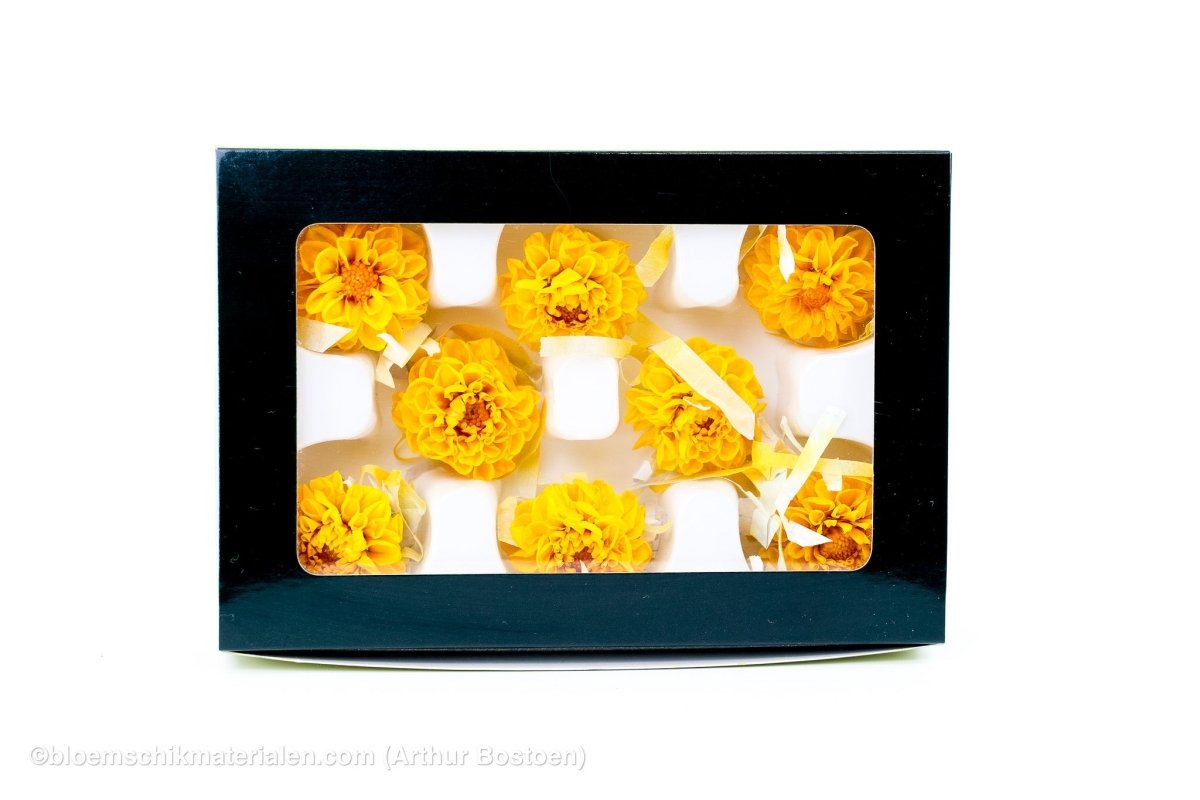 GECONSERVEERDE DAHLIA (WHITE MARK) GEEL 8ST - bloemschikmaterialen.com