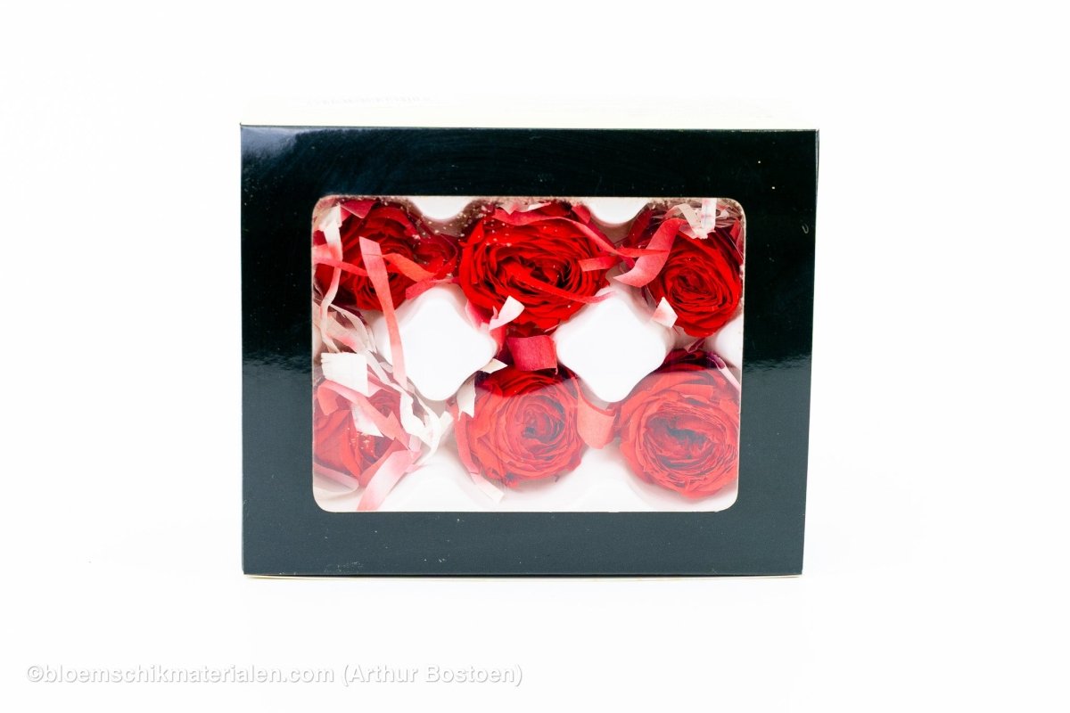 GECONSERVEERDE ROOS (ENGLISH ROSE PIPA) +/ - 4CM ROOD 6ST - bloemschikmaterialen.com