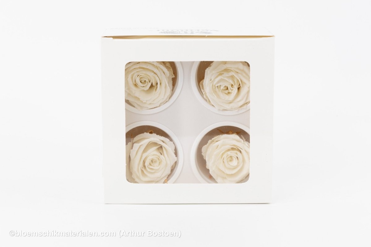 GECONSERVEERDE ROOS (LARGE OPEN) +/ - 6.5CM WIT 4ST - bloemschikmaterialen.com